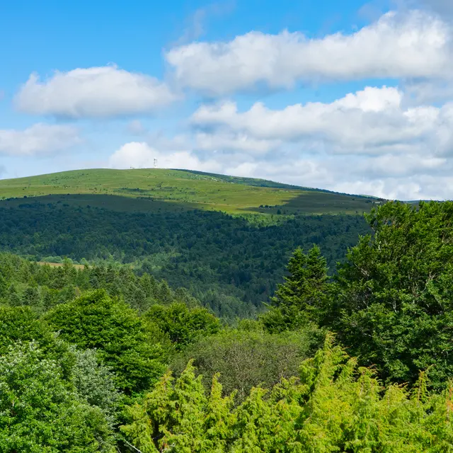Un après-midi nature à la Réserve_Sauvain