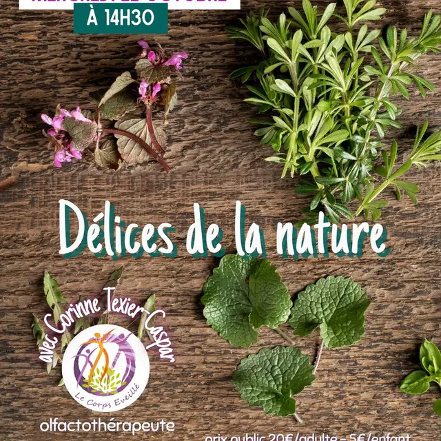 Atelier : Délices de la nature_La Couarde-sur-Mer