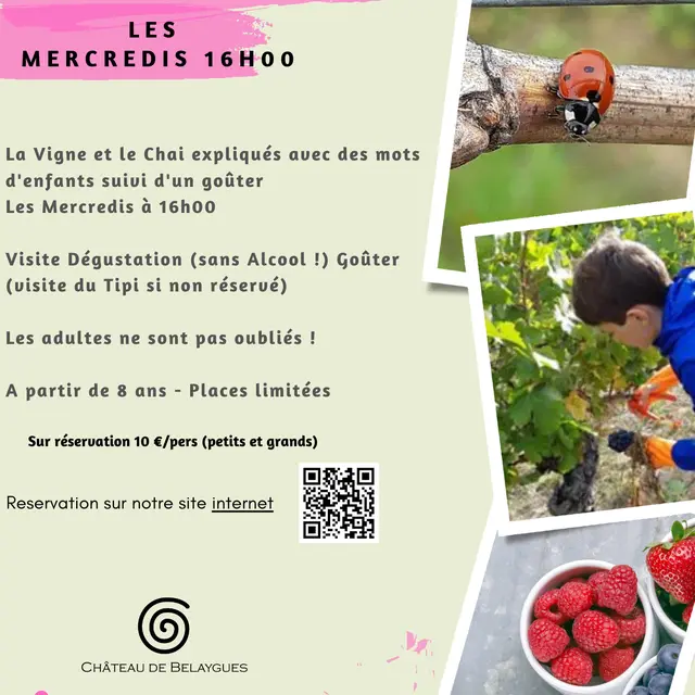 Dis, raconte moi la vigne_Labastide-Saint-Pierre