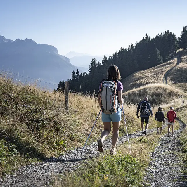 Randonnée pédestre : Boucle de la Servaz_Faverges-Seythenex