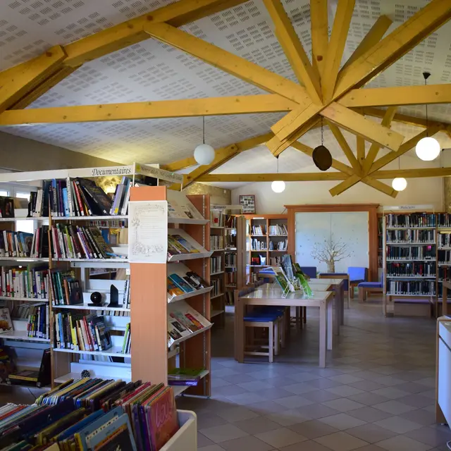 Bibliothèque St Pierre de Vassols