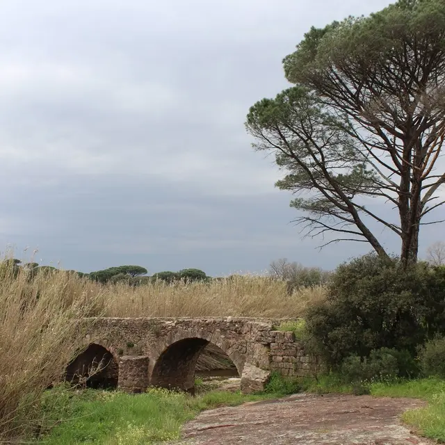Le Pont Romain - La Garde-Freinet - Randonnée pédestre