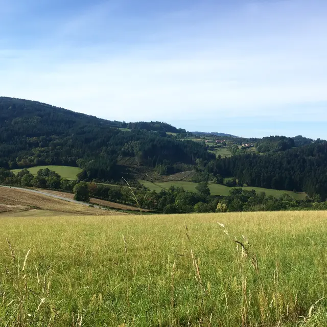 Point de vue panoramique