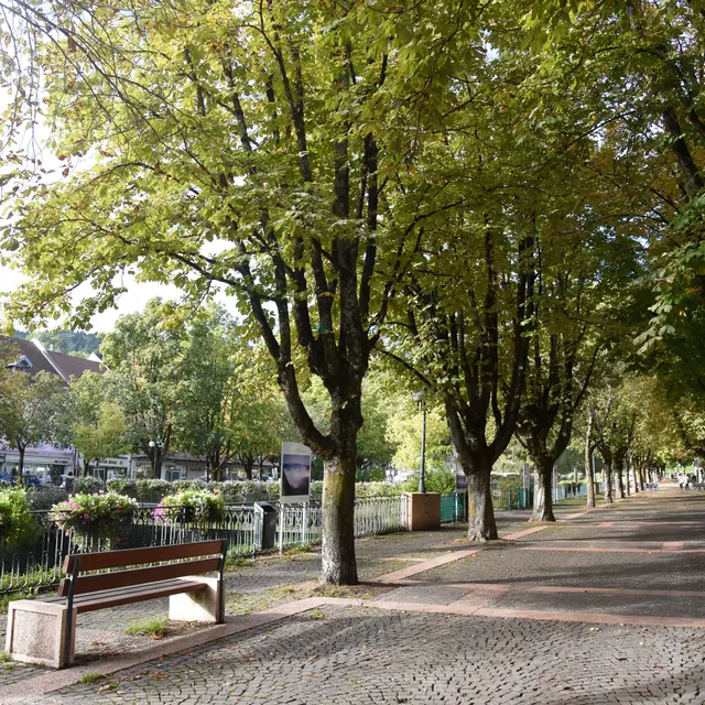 les quais de la Sallanche