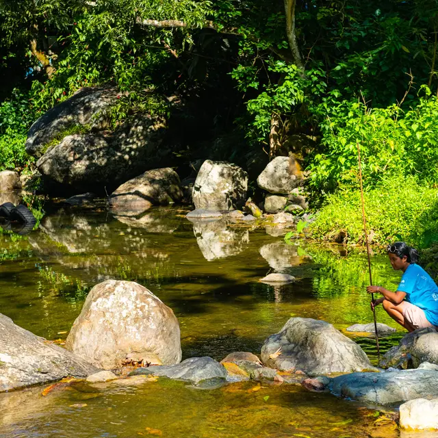 Pêche aux crevettes de rivière