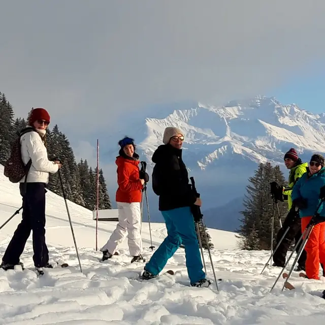 Ski raquettes - Vue