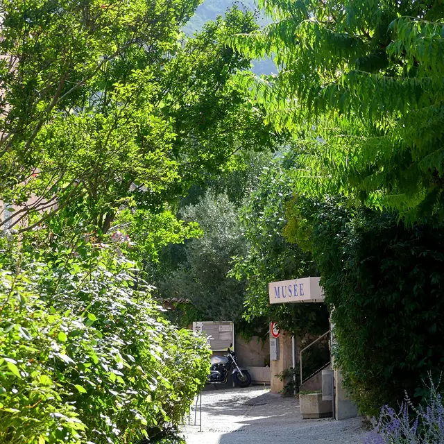 Exposition photos par Eric Pelliat “Sous nos yeux : les insectes”_Laragne-Montéglin