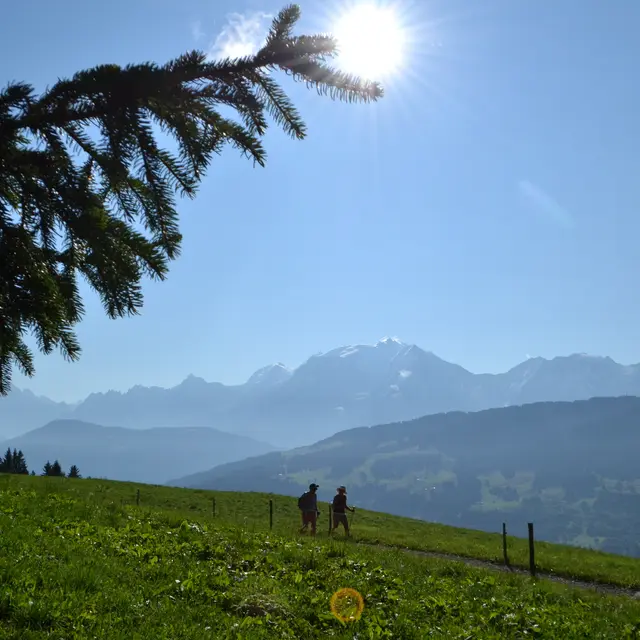 Randonnée face au Mont Blanc
