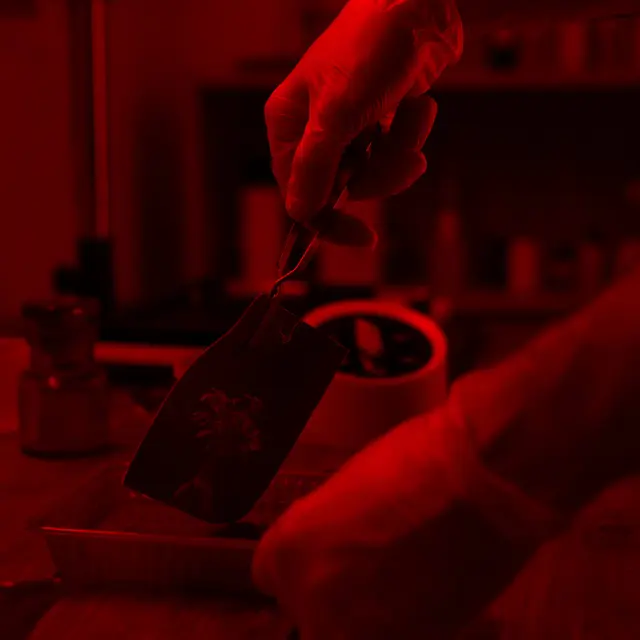 Atelier famille - Initiation à la chambre photographique_La Tronche