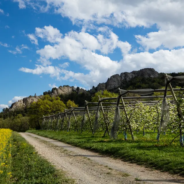 Balade des Bruyères