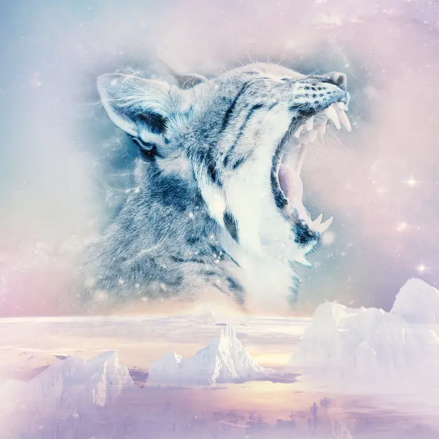 Opening Season Party R.E.D_Champéry