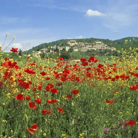 Village de Saint-Julien-d'Asse