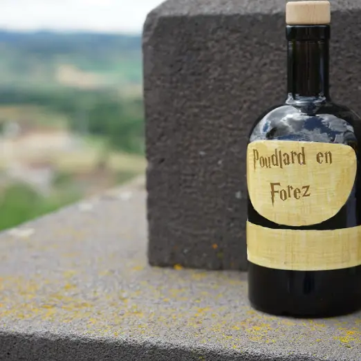 Poudlard-en-Forez - jeu en famille_Pouilly-lès-Feurs