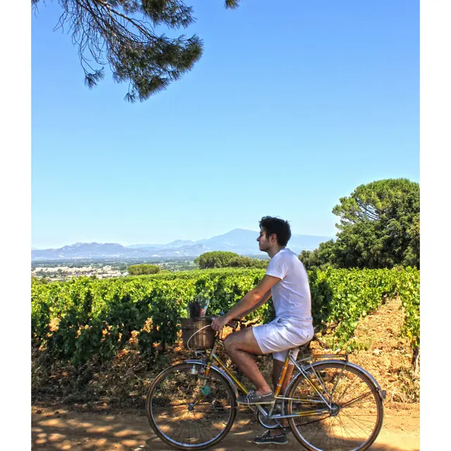 Balade à vélo depuis le Cellier des Princes