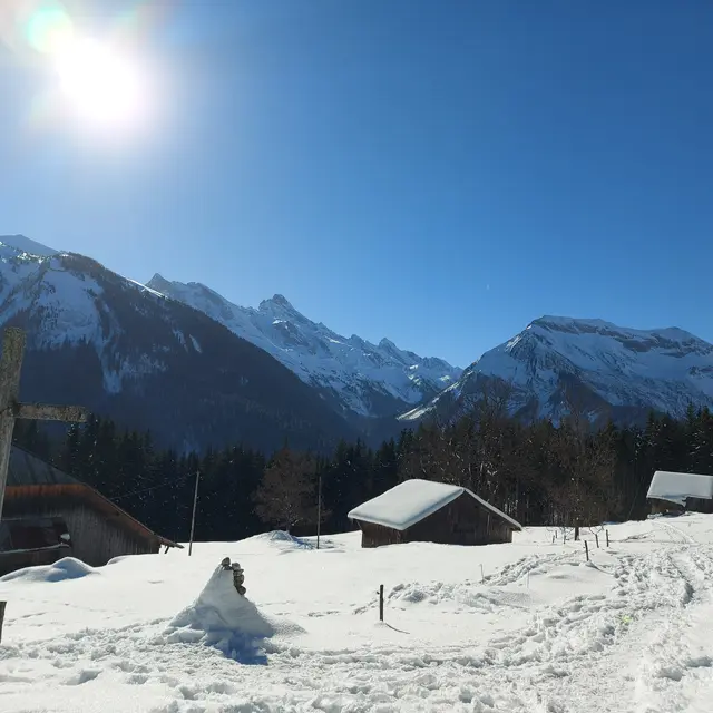 Montagnes