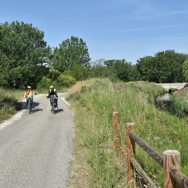 Les Foins de Montfavet