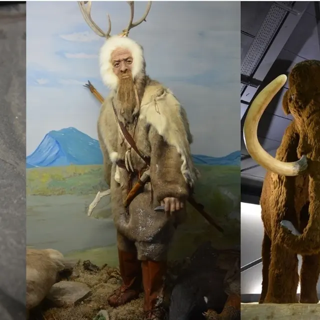 Vacances d'hiver : visite et création