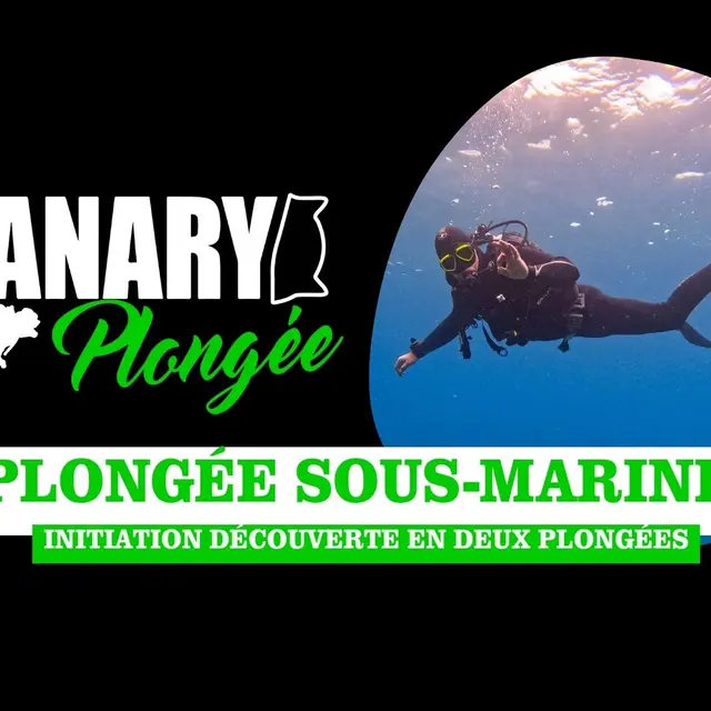 Sanary Plongée : Initiation découverte en deux plongées (Découverte)_Sanary-sur-Mer
