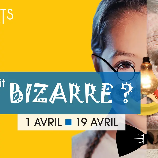 Bizarre, vous avez dit bizarre ? - exposition des enfants de Fillière_Fillière