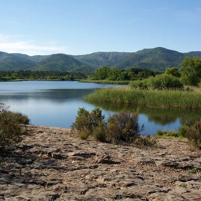 Plaine des Maures