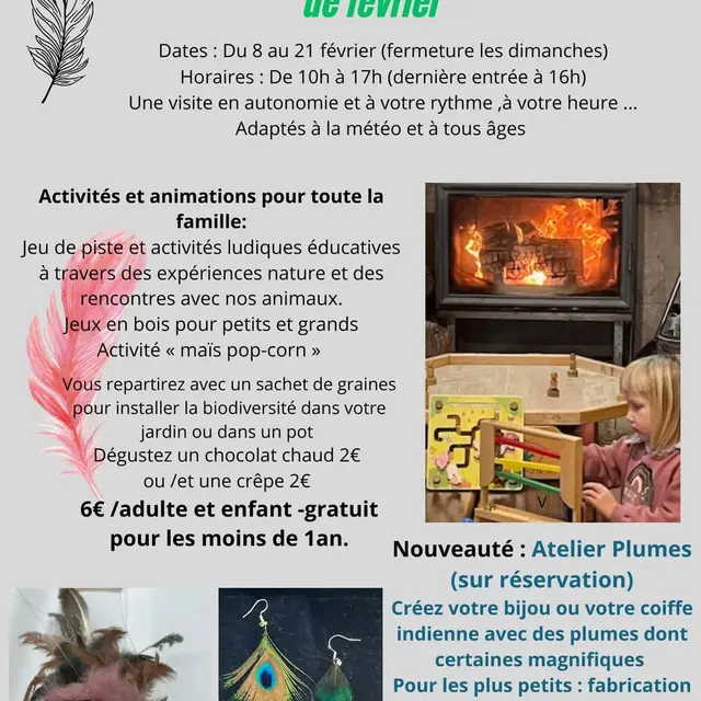 Atelier plumes_Sarrians