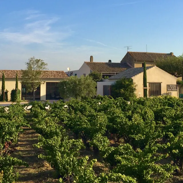 Domaine de la Vieille Julienne