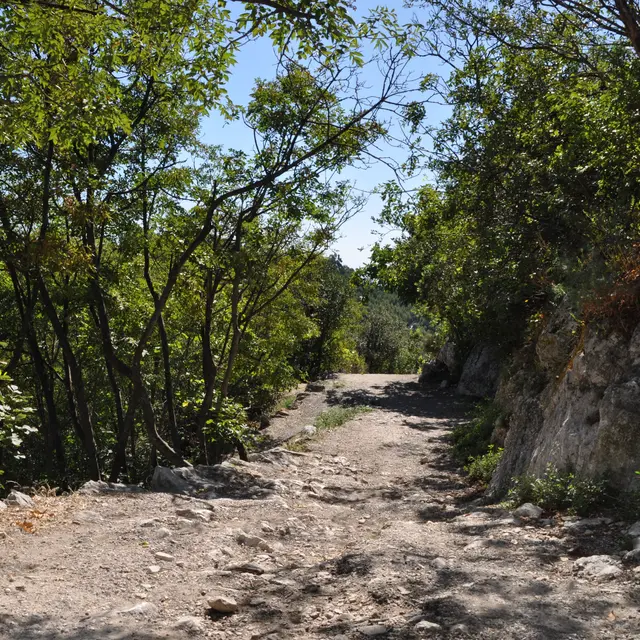 Chemin de Nietzsche