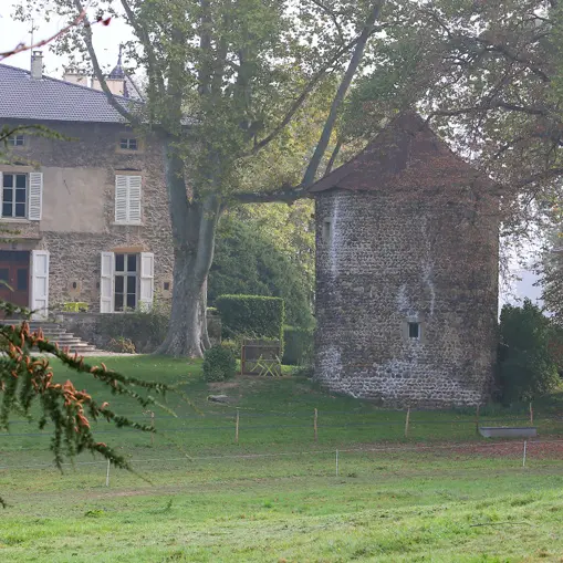 la bonne étoile