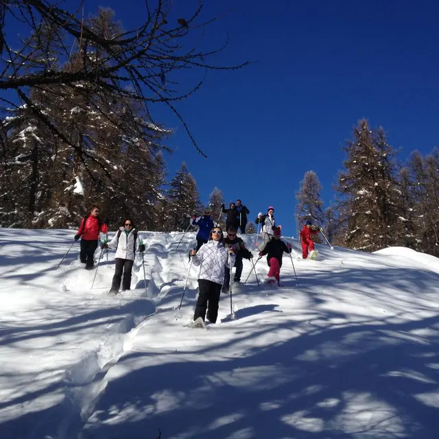 descente en poudreuse