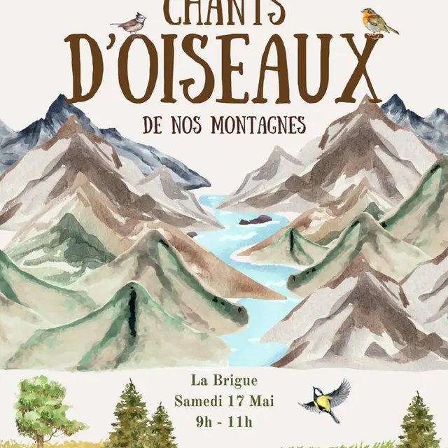 Balade découverte aux chants d'oiseaux_La Brigue