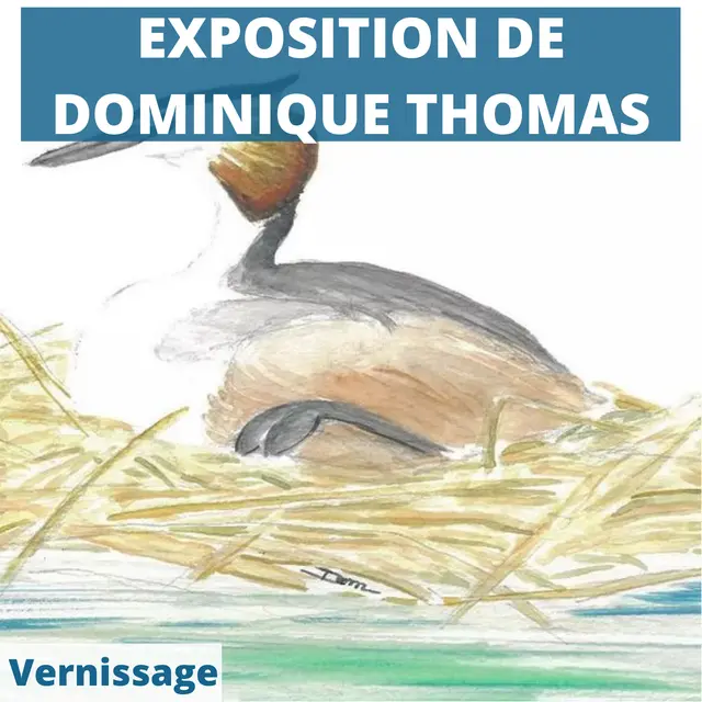 Vernissage