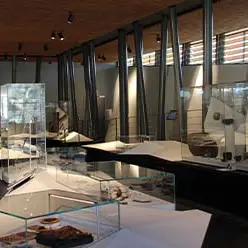 Collections du MALP