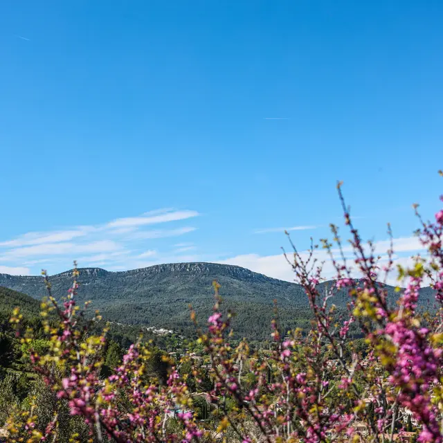 Baisse du Castellas_Pierrefeu-du-Var
