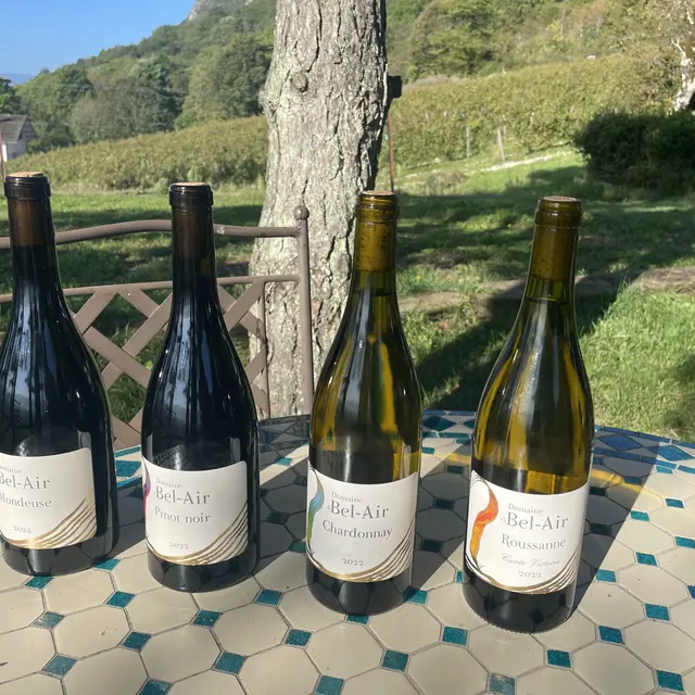 Domaine de Bel Air
