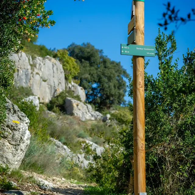 Randonnée à thème :  de Saint-Michel de Frigolet à Rochefort-du-Gard_Avignon