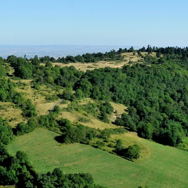 puy St Romain