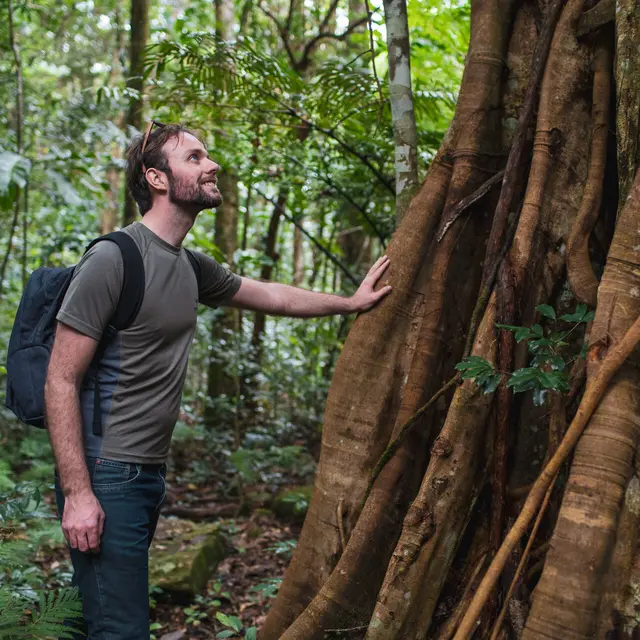 Visite du Mont Koghis et sa forêt humide - Etic NC_Dumbéa