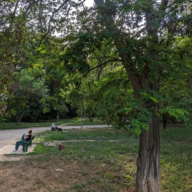 le long de l'Huveaune