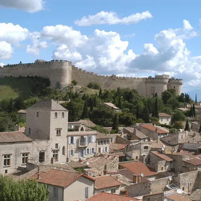 Il était une fois Villeneuve lez Avignon : les hauteurs de Villeneuve au Moyen Âge, espace de chasse ou terrain agricole_Villeneuve-lez-Avignon