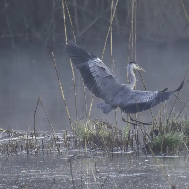 Mots, dessins et poésie au fil de l’eau l Renc'Arts du Parc_Saint-Félix