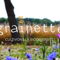 Grainette_Marseille