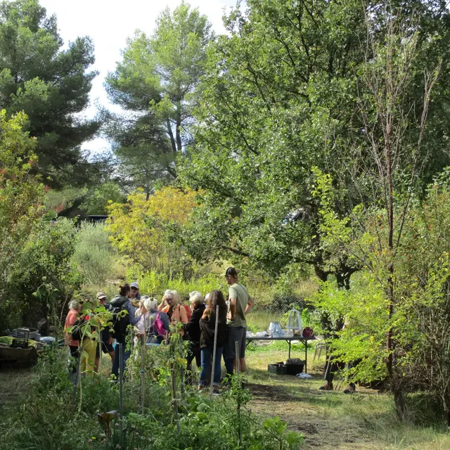 Atelier - Jardin sauvage_Le Beausset