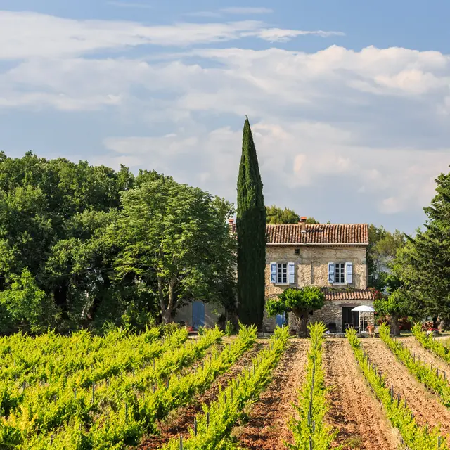 Domaine St Esprit
