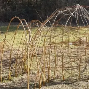 Cabane et bricolages avec des plantes (6-13 ans) - Maison du Marais_Ceyzérieu