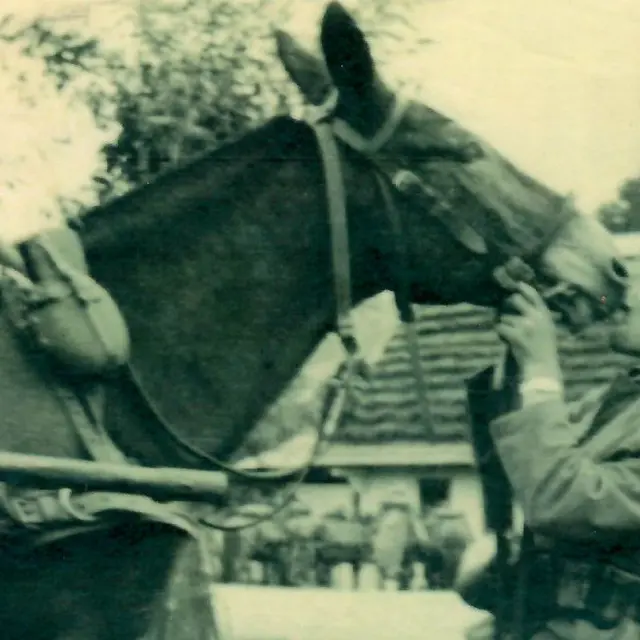 Exposition Le mulet sous l'uniforme_Val d'Oronaye