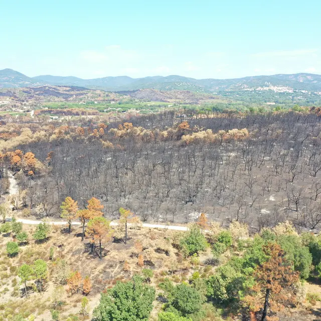 Les conférences environnement à La Londe les Maures_La Londe-les-Maures