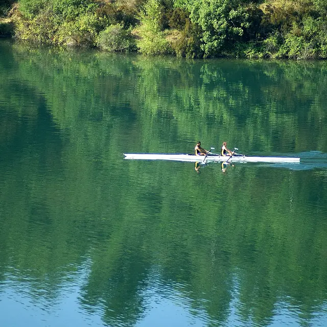 Aviron