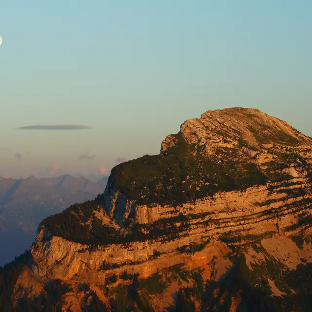 CHAMECHAUDE