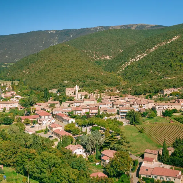 Village & Olivier_Grignan