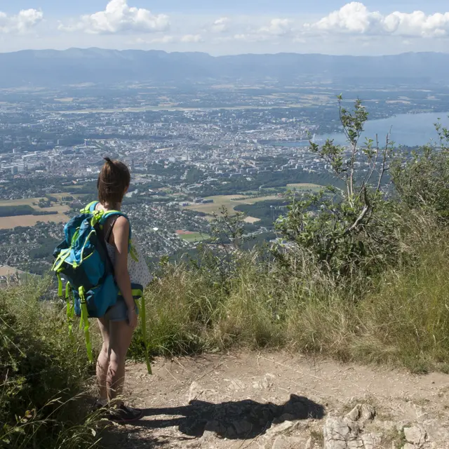 Observatoire